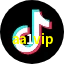 aa1vip TikTok